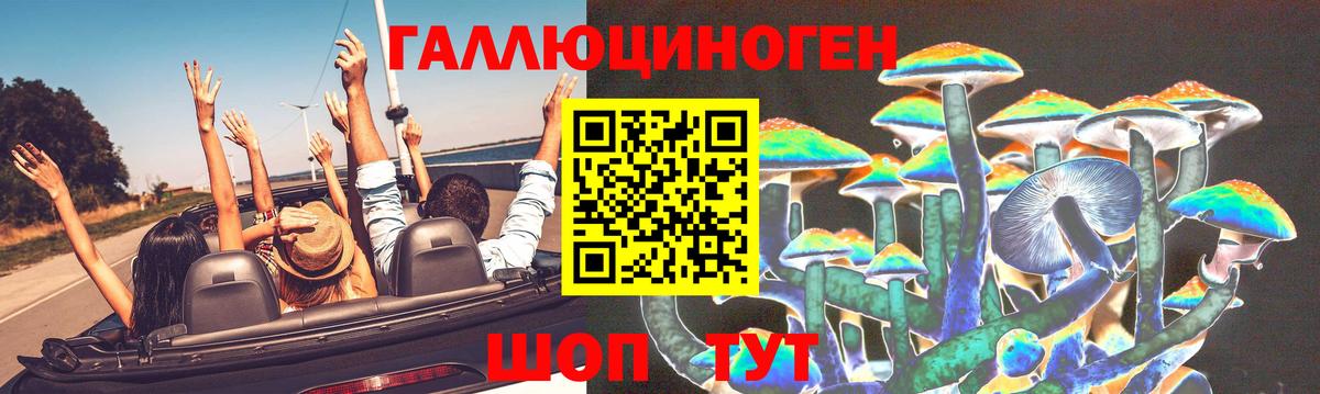 Галлюциногенные грибы ЛСД  Вход с VPN  Псилоцибиновые грибы ЛСД  сколько стоит  Чернушка 