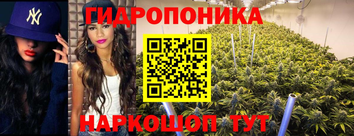 Каннабис конопля Чернушка